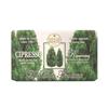 Daycoli Florence Cypress Soap 250g
