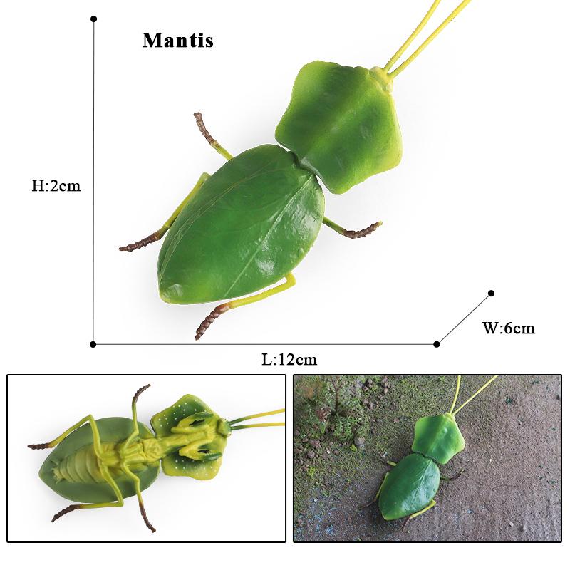 Oenux Wild Insect Animals Model Mantis Grasshopper Butterfly Bee Beetle Action Figures PVC Science Education Collection Kid Toy