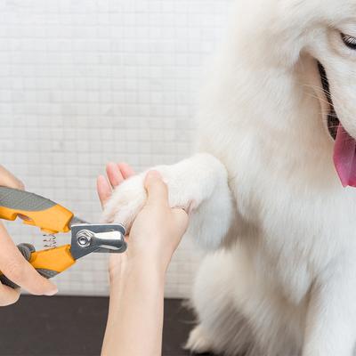 Pet Nail Clippers Cat Nail Clippers Pet Nail Clippers Cat Dog Nail Clippers Pet Nail Clippers Simple Design Concept and Creative