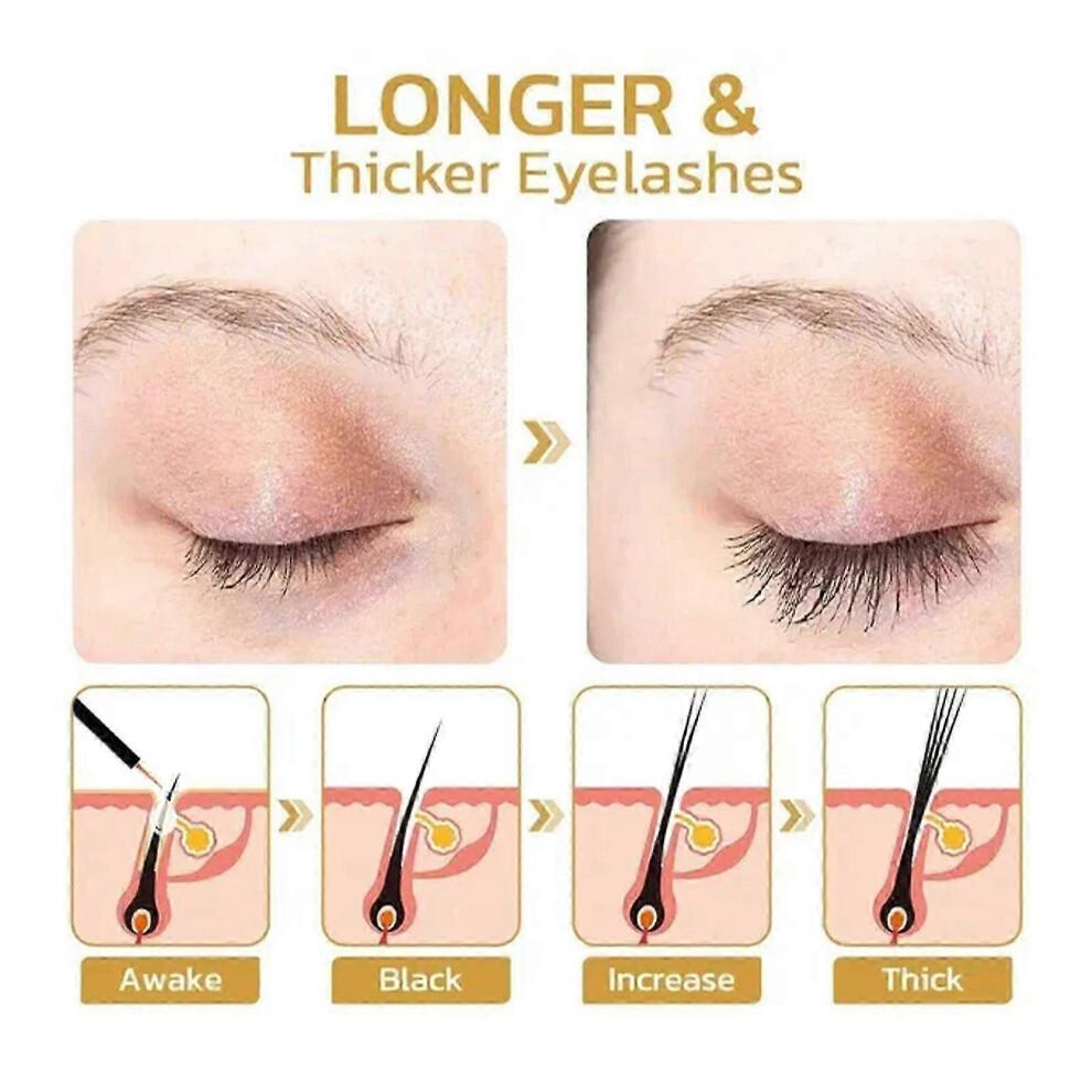 (3pcs) Grande Lash Md Eyelash And Eyebrow Enhancer For Length Fullness 4ml New Arrival