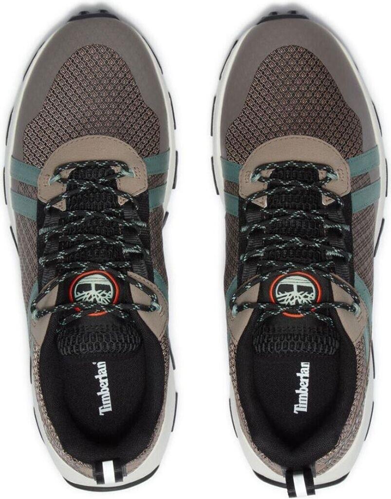 Hiking Boots Timberland Winsor Trail Taupe Mesh TB0A6DTHEVL1M-110
