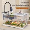 Pești și animale marine – Decorul acvariului