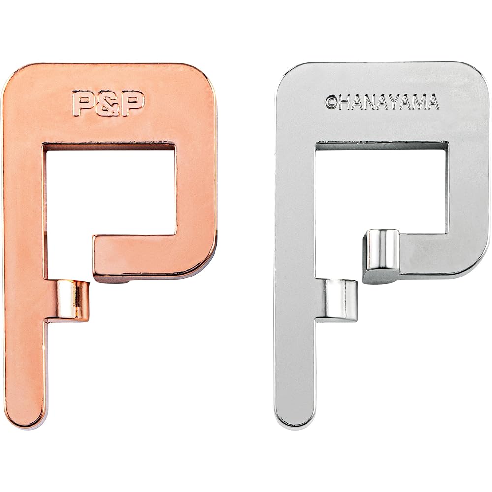 Hanayama Cast P&P Puzzle Level 2 Brain Teaser Game Metal 3D Puzzle
