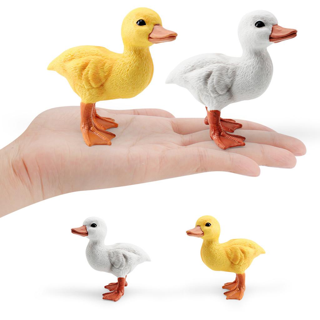 Childrens Pvc Bird Figurines Set For Farm Scene Decor And Learning Activities
