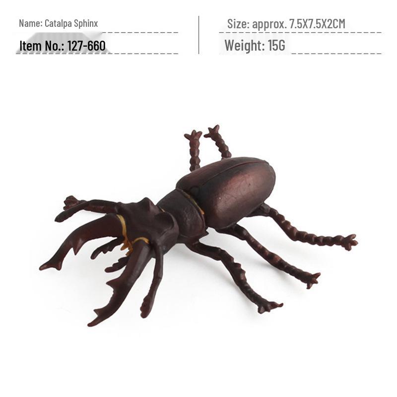 Cross-Border Children's Cognitive Insect Model Toy Set