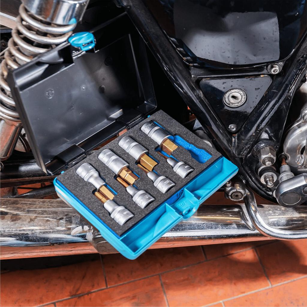 HAZET Professional Screwdriver Bit TiN Titanium Nitride Hex Hazet with Plastic Made in Precision Tools for Automotive and Industrial Officially