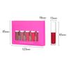 5 Pcs Moisturizing Lip Gloss Kit Matte Lipstick Sexy Long Lasting Liquid Lipstick  Matte Lip Gloss Lip Makeup