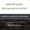 Organic, pesticide-free dried shiitake mushroom slices from Hajin's Mushroom Garden, 100g