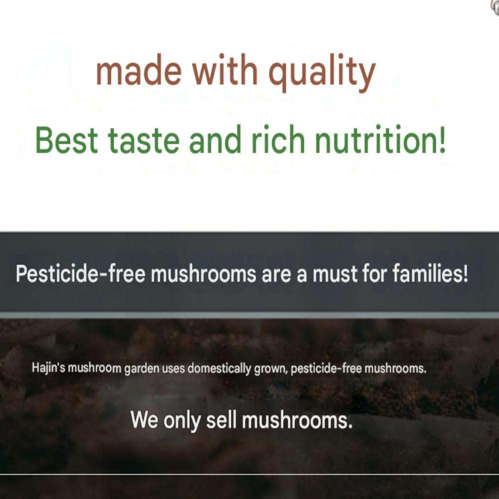 Organic, pesticide-free dried shiitake mushroom slices from Hajin's Mushroom Garden, 100g