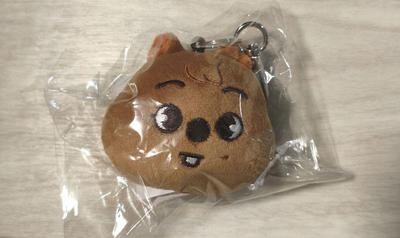 [USED] Straykids SKZOO Mini Face Keyring Han