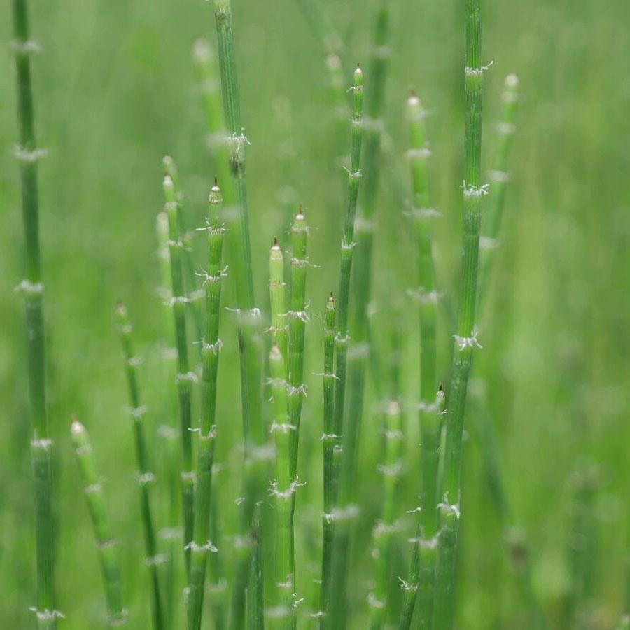 250 г Китайский зеленый чай Мохуан Травяной цветочный чай Натуральный травяной цветочный — фото 12