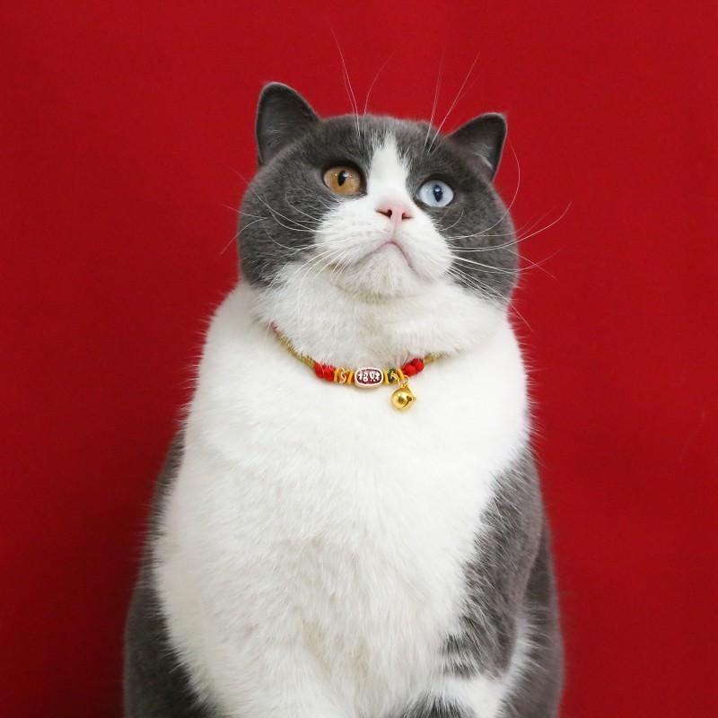 Adjustable Red Cord Pet Collar Cats Dogs With Lucky Charm Pendant Fortune Bag Bell Safety Necklace