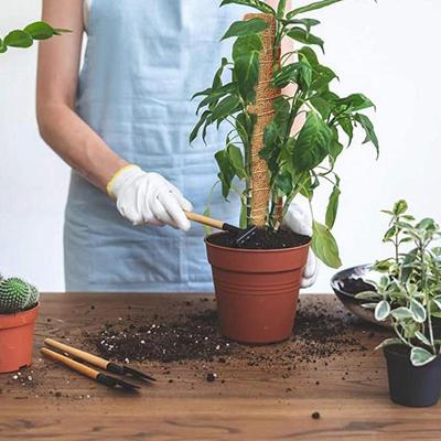 Plant Moss Pole Removable Plant Supports Monstera Coir Moss Poles Grow Upwards Trellis Houseplant Stakes Garden Sticks For