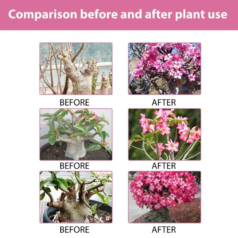 Profesionální hnojiva ve spreji z pouštních růží Mlžení pro zahradu Jemná směs Mlžení pro zdraví Živiny pro růst listů