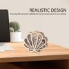 Seashell Display Box Decorative Collectors Holder Shell Shape Handmade Display Case for Home Apartment Workplace Bathroom Living
