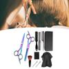 11pcs Hair Cutting Scissors Brush Comb Stainless Steel Colorful Hairdressing Scissor Set for Barber Shop
