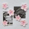 20 Stück Kirschblüten Magnet Deko Dekorative Kühlschrankmagnete Foto Notizen Halter Blumenmuster Küche Kühlschrank Magnet Deko
