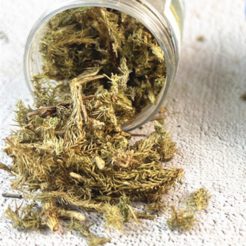 Sand Table Soldier Platform Model Simulation Vegetation Grass Moss Withered Bush Diy Mountain Landscape