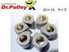 Dr. Pulley Transformable 20 X 15 Size, Pack of 6 (14.0 G)