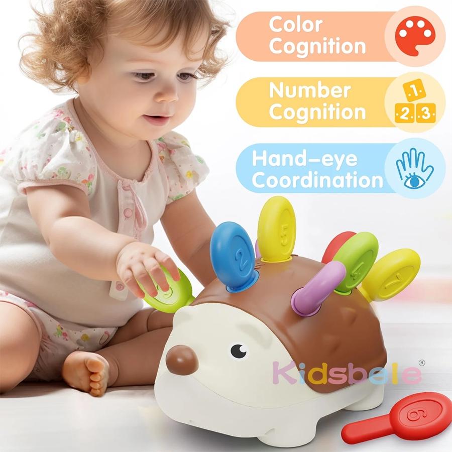 Baby Montessori Toy Sets For 1 Year Old Hedgehog Toddler Tactile Toy Sets Fine Motor Skills Learning Educational Sorting Toy Sets Montessori