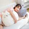 Cat Plush Toy Animal Stuffed Doll Cartoon Bedroom Decoration Kids Cute Gift