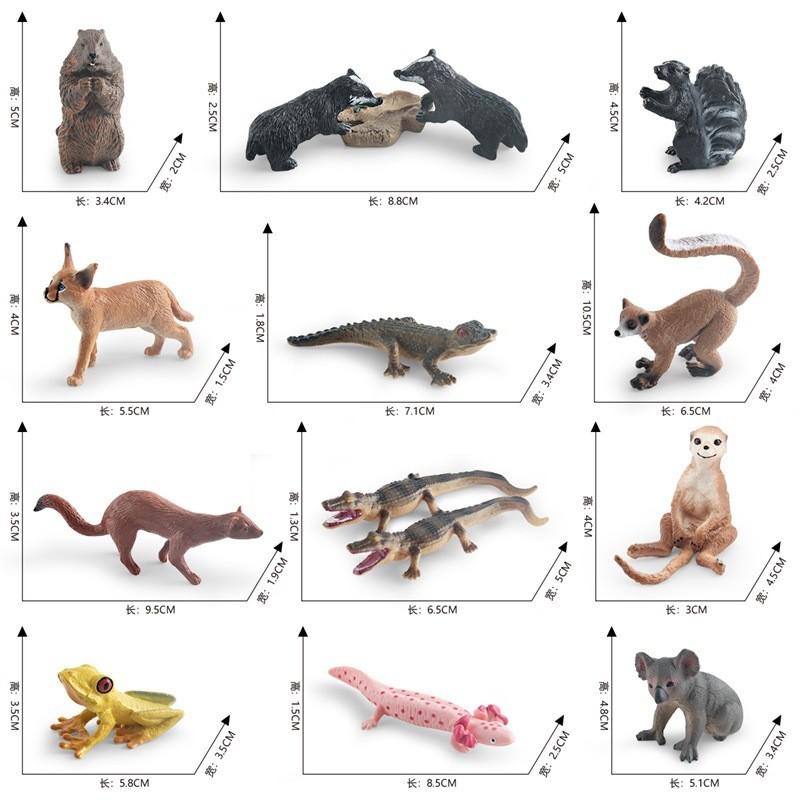 Realistic Plastic Forest Animal Model Collection Featuring Cute Static Mice Frogs Crocodiles Koalas And Skunks