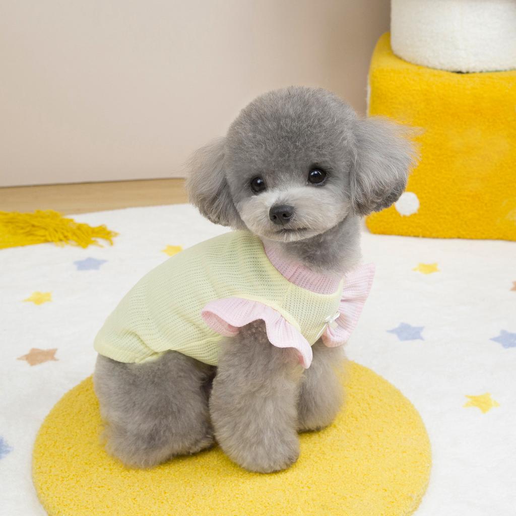 Spring and summer new cat and dog pet clothes cotton vest dress contrasting color flying sleeves