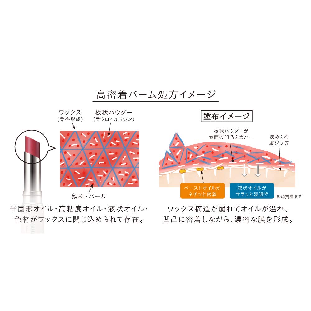 Naturaglace Moist Balm Rouge 06 Plum Red 2g