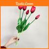 Artificial Tulipa Gesneriana Wedding Decor With Soft Silicone For Home And Photography Backdrops