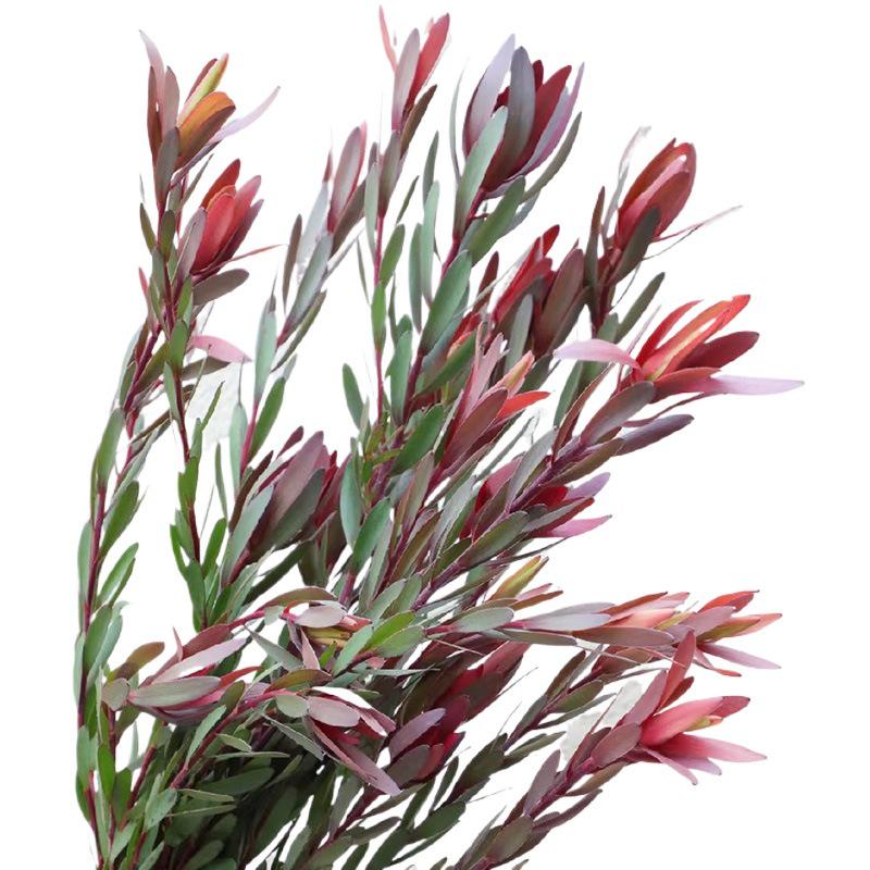 South African Wood Lily & Monstera Silk Wedding Flower Arrangement