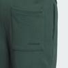 Adidas Originals Graphics Joggers With Brand Logo Embroidery Mid-Rise Drawstring Knit Sports Pants Men Joggers Mineral-Green JD3244