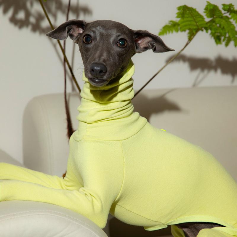 Haustier Winter Warmer Pullover mit hohem Kragen Windhund Hundeweste Jacke Verdicken Whippet Mantel Pullover Für Mittelgroße Große Hundekleidung