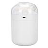 Eternal Flower Humidifier 2W 500ML Water   USB Powered Desktop Humidifier with 7 Color Light for Bedroom  