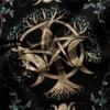 3pcs Tree Of Life, Pentagram, Triple Moon Phase,Green Vines And Leaves Digital Print Bedding Duvet Cover Set