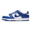 Dunk Low Retro SP