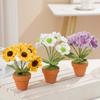 Decoration Potted Plant Fashionable Hand-woven Small Daisy