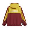 Li-Ning Color Block Letter Zip Hooded Windbreaker Men Outerwear AFDW849-4