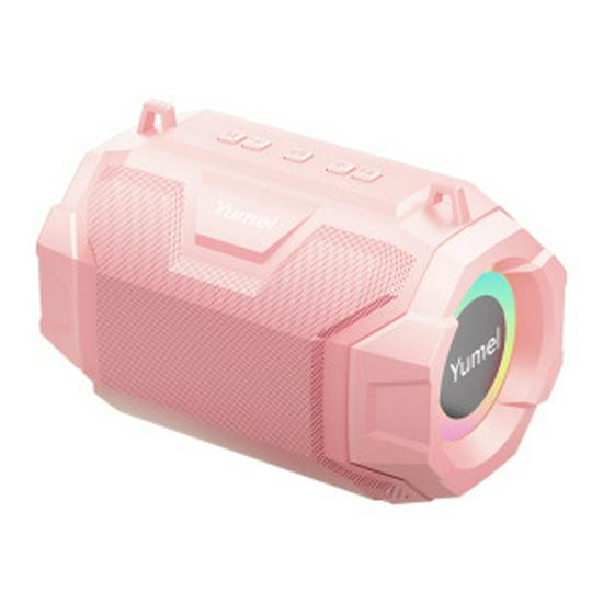 Prenosný Bluetooth TWS reproduktor s basovým reproduktorom - Kompatibilný pre vonkajšie použitie/domáce kino