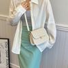 Chic Minimalist Small Sling Bag 2024 New Spring Straw Bag Korean Shoulder Crossbody