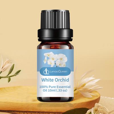 Massage & Wellness – Massageöle