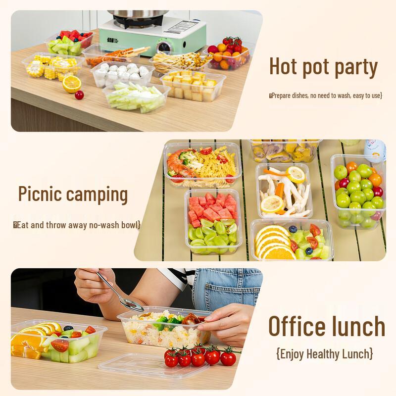 Temeiju Disposable Square Lunch Box with Lid, 10 Sets