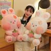 Cute Doodle Rabbit Plush Toys Little Bunny Doll Pushing Pillow Girls Birthday Gift Children's Dolls