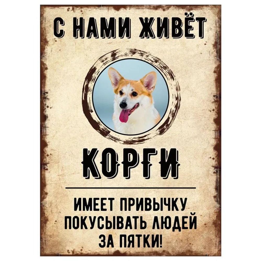 Schild, dekorativ, GEFAHR HUND, Schnauzer lebt bei uns, 20x30cm