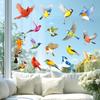 DECOWALL Beautiful Bird Window Reusable Glass Bird Collision Prevention Decals Set of 17 Birds CDS4-9003 Anti-Static Stickers, Anti-Collision -