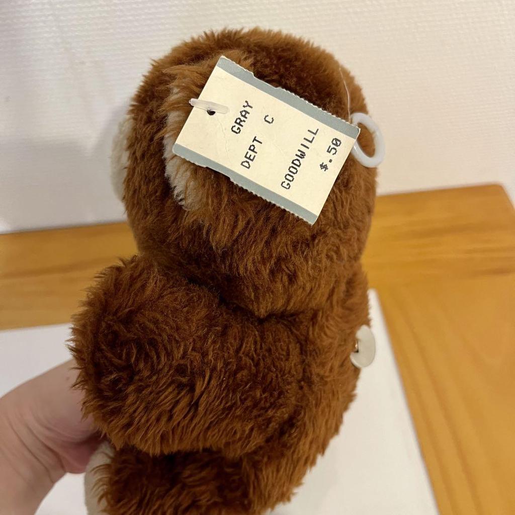 [USED] Teddy Bear with Music Box