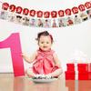 Farm Animal Theme Photo Banner 1st Birthday Monthly Banner Newborn To 12 Month Photo Display Milestone Photograph for Barnyard First Birthday Party