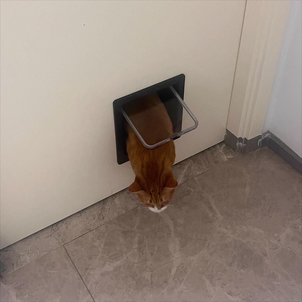 Cat Dog Door Flap Extra with 4 Way Locking Security Flap Door Weatherproof Pet Door Kit for Dog Cat Kitten Puppy Safety