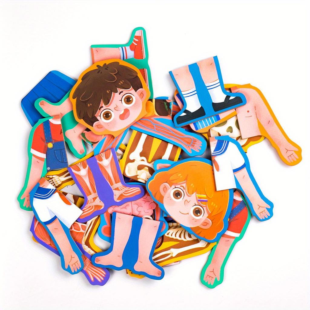 1pc wooden jigsaw puzzles,Human body structure cognition structure biology wood accessories,enlightenment, puzzle,learning
