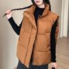 Fashion Winter Warm Sleeveless Vest Woman Outerwears Stand Collar Casual Thick Women's Jackets