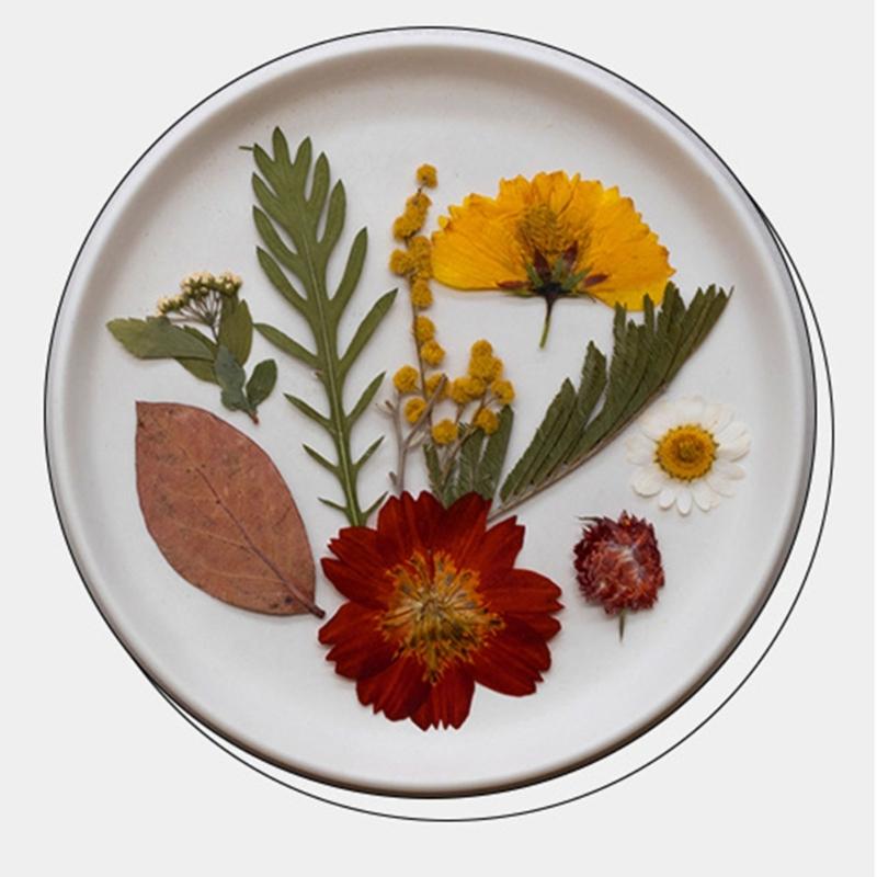 Natural Pressed Dried Flower For Epoxy Resin Dry Flowers and Leaves Set for Soap Candle Jewelry Making Scrapbooking